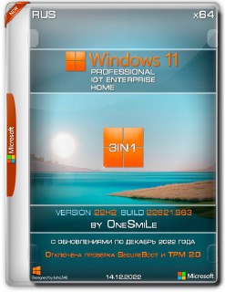 Windows 11 x64 3in1 22H2.22621.963 by OneSmiLe