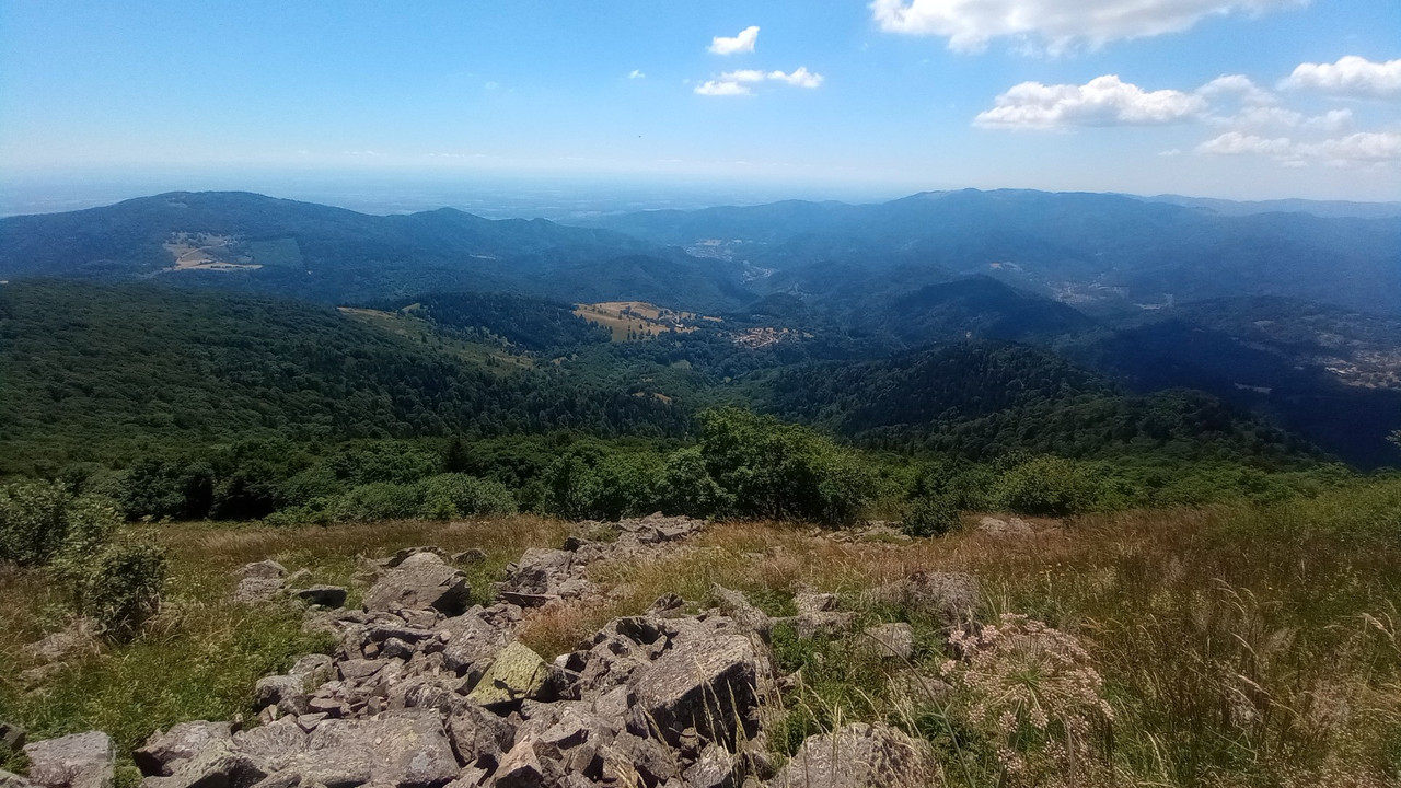 IMG_20250629_134715 (Large)