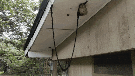 GIFs-13