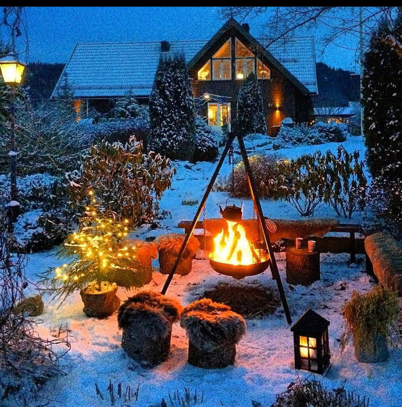 Screenshot_20231115_002354_Instagram