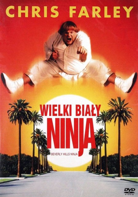 Wielki Biały Ninja / Beverly Hills Ninja (1997) MULTi.1080p.AMZN.WEB-DL.DDP5.1.H.264-fHD / POLSKI LEKTOR i NAPISY