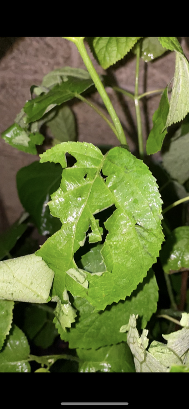 98B4FD7B-A70B-496E-AF93-D87AD8D83B69