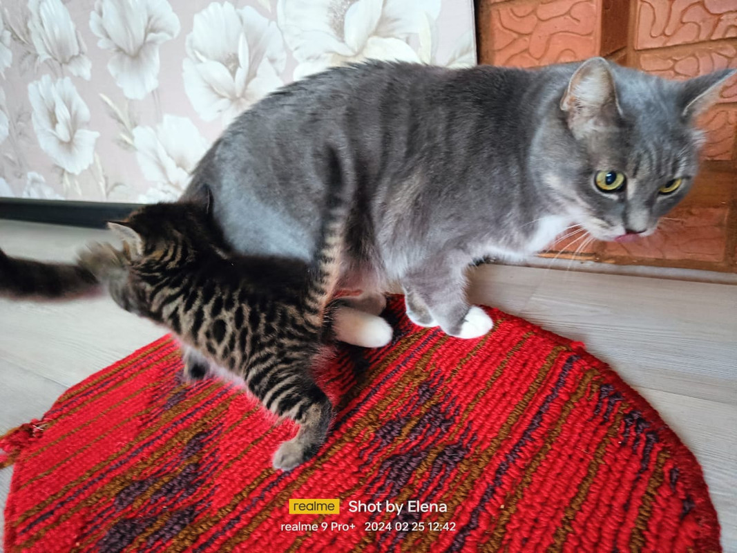 WhatsApp Image 2024-02-25 at 12.43.18 (1)