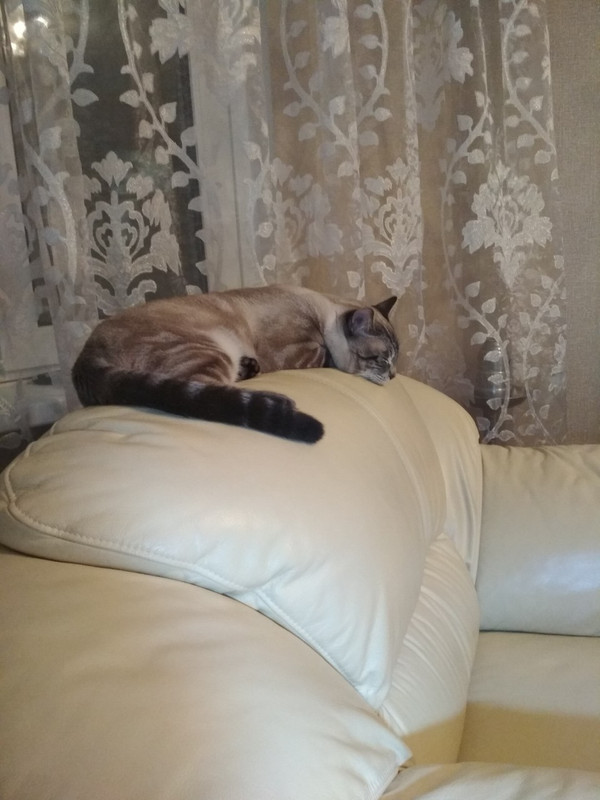 Шпингалет в новом доме1