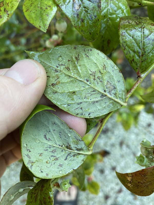 58D5EC97-77E5-43AB-A590-BBFC55453DC6