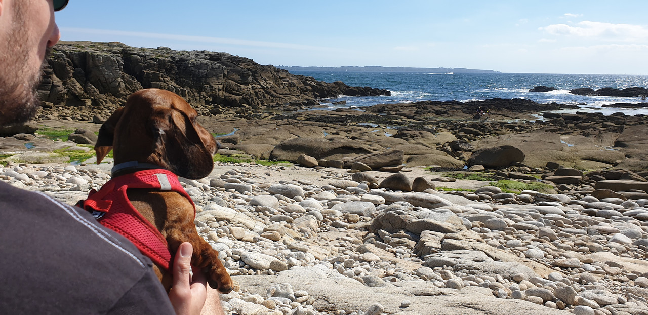 [Image: 20200710-172031.jpg]