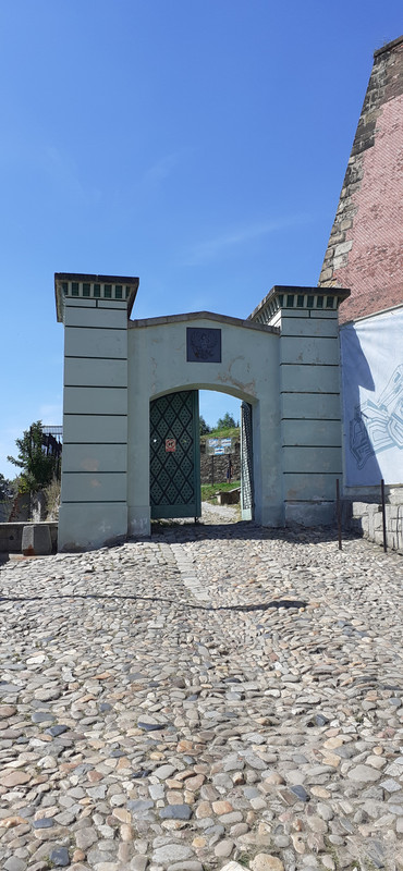 033 - 20200730_150339