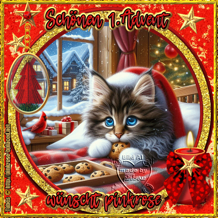 An den Beitrag angehängtes Bild: https://i.postimg.cc/1XWpjyhM/1-Advent2025-pinkrose2abc.gif