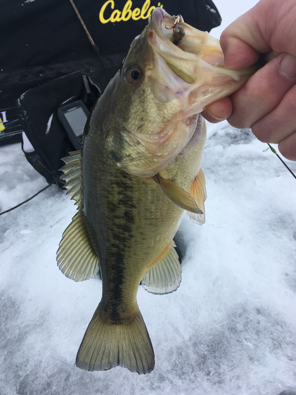 8E123327-5A9D-4FDD-9D49-CC6784C3A094