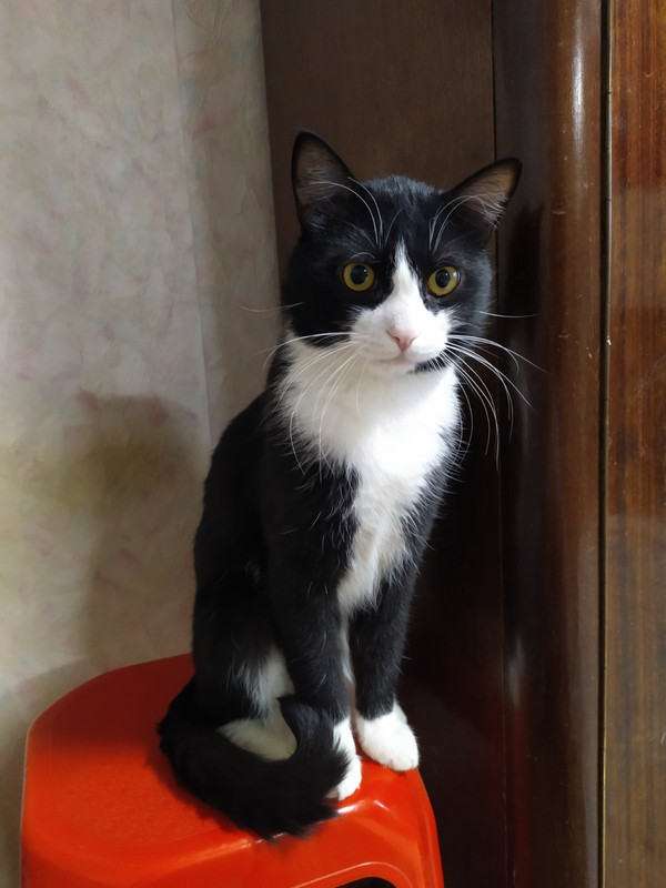 изображение_viber_2021-01-25_16-27-05