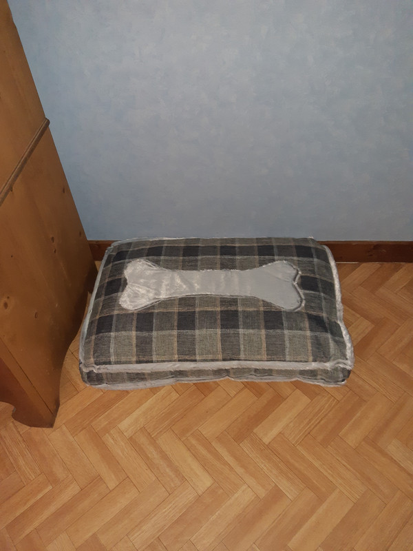 [Image: 20200731-114611.jpg]