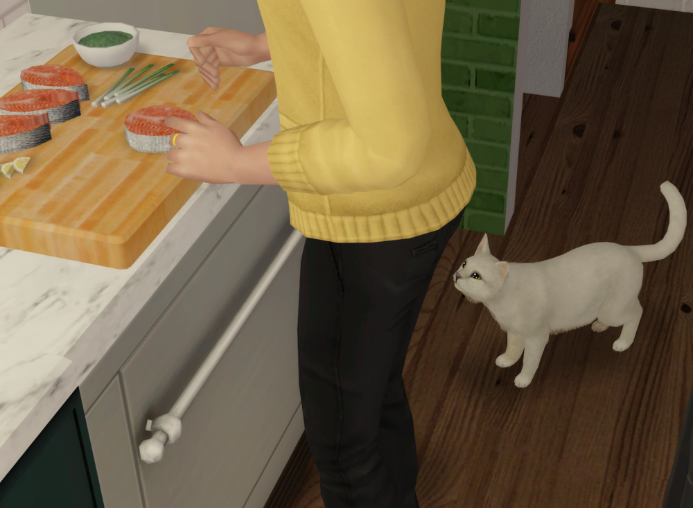 Sims2-EP9-RPC-2022-04-03-18-03-26-06