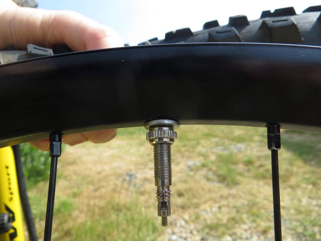 Tubeless Valve