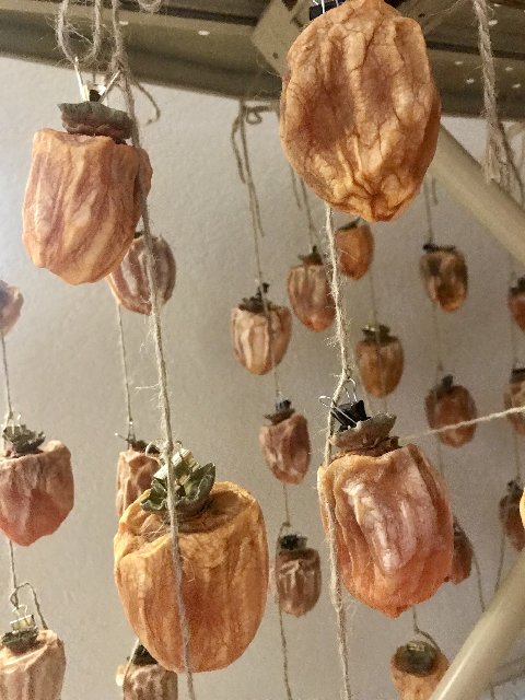 [Image: 9-F817-FF0-3-F69-498-D-9-B10-40-C6-AFD81115.jpg]