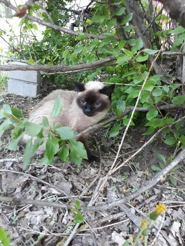 A516E1B9-D315-47DE-95B5-B7F7117E4183