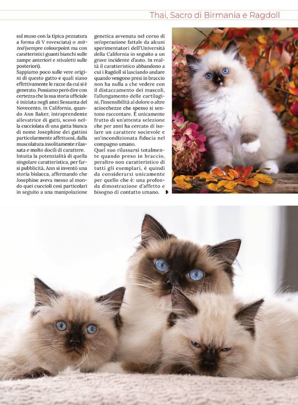 Ga Ma Feb-Mar 2022 (6)