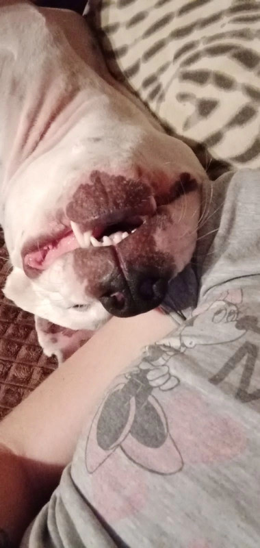 F242BF23-6463-44A2-BCC4-3EFD998DCF00