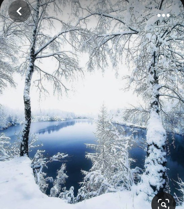 Screenshot_20231102_001302_Pinterest