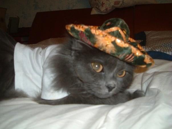 B1C7AEA9-4323-49F5-AD2D-DB525C41616C