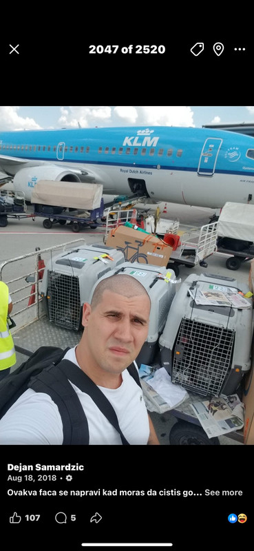 Dijaspora klijent Transport Pasa