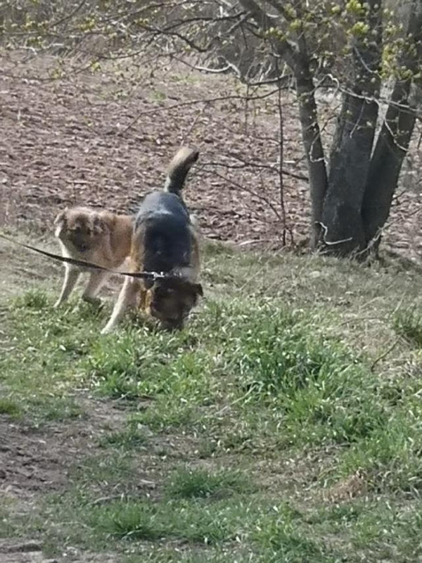 знакомство