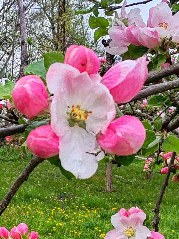 IMG 20260413 191743bbb