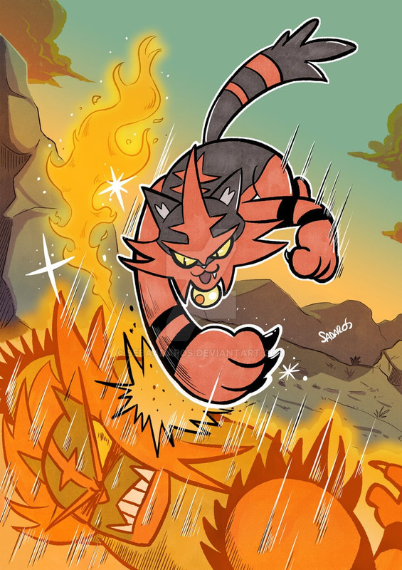 incineroar-and-torracat-pokemon-drawn-by