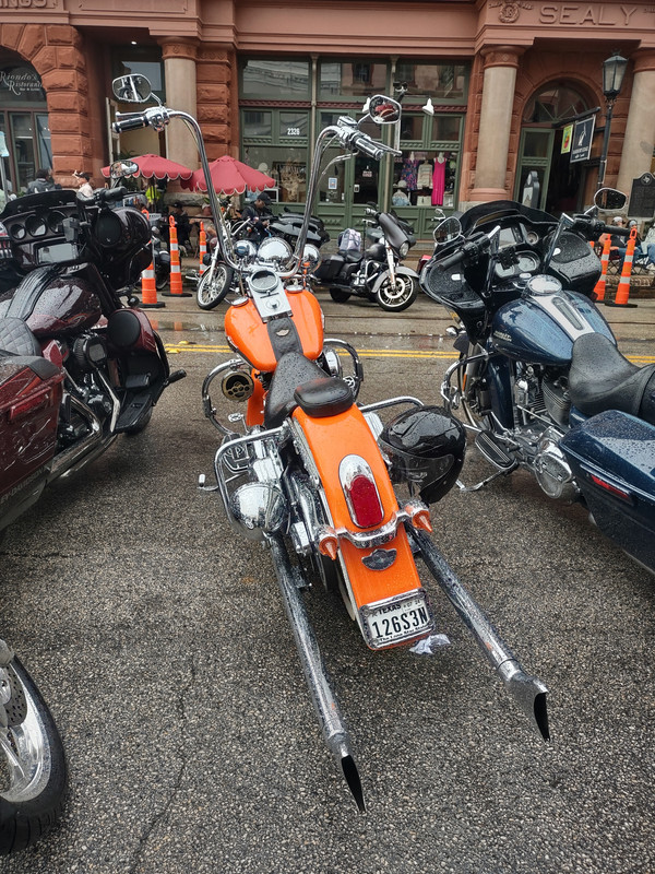 IMG_20241102_171916666_HDR