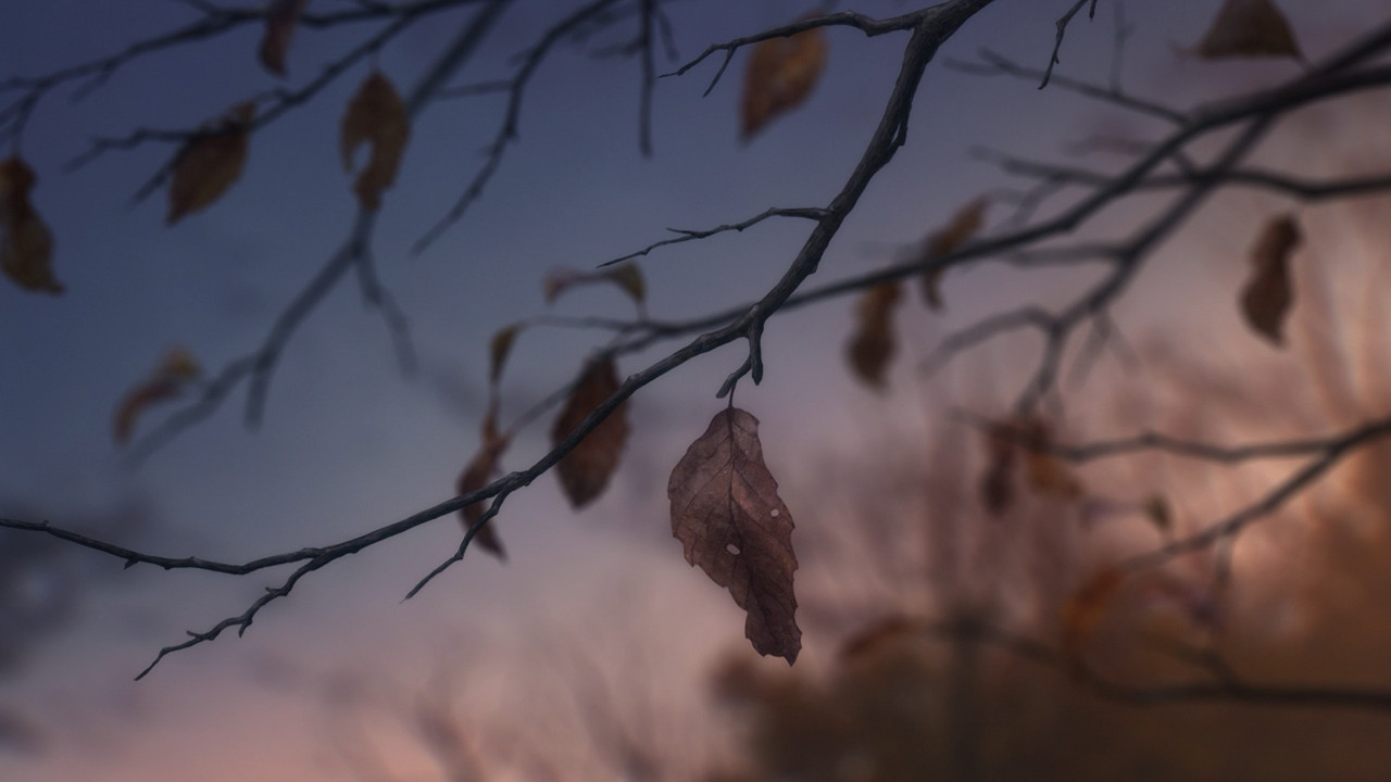 cap_[SubsPlease] Make Heroine ga Oosugiru! - 10 (1080p) [F03484A4]_00_16_31_06