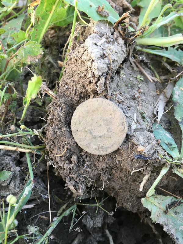 165420ED-6BDF-4856-939C-A741FA89B39F