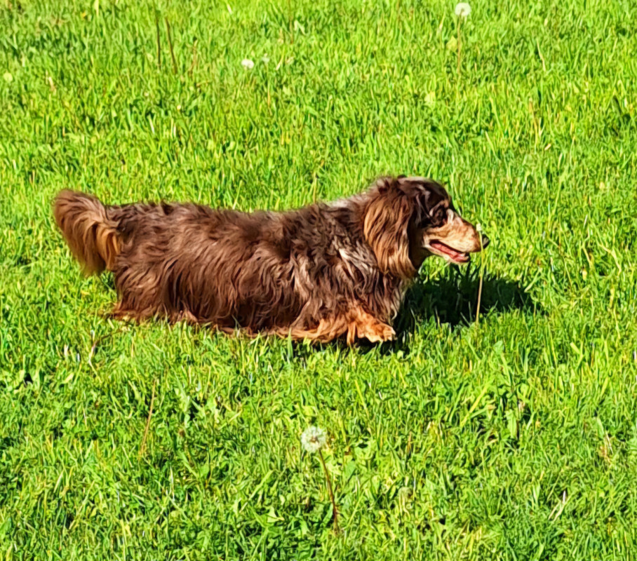 [Image: 20250429-162010.jpg]