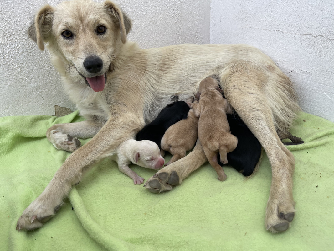 27269828-F63E-4F67-AD1A-DC139B44A19C