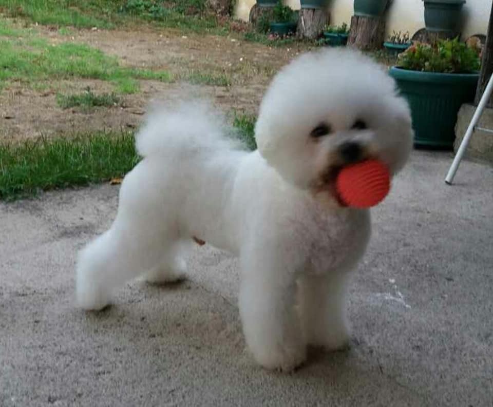 117690814-3301246309941573-4816464271088