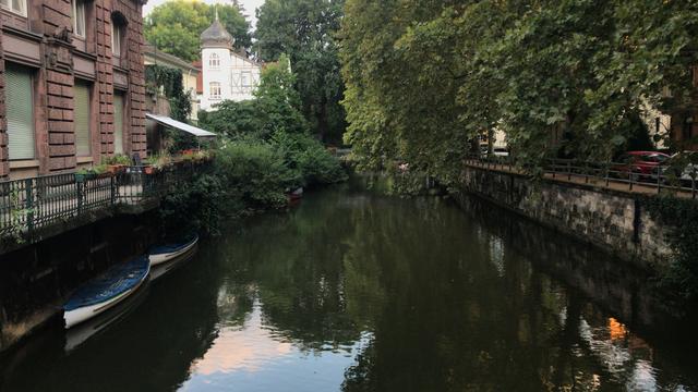 BC283E29-4842-4BA6-8C4D-975260BC8F69