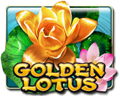 GOLDEN MONKEY