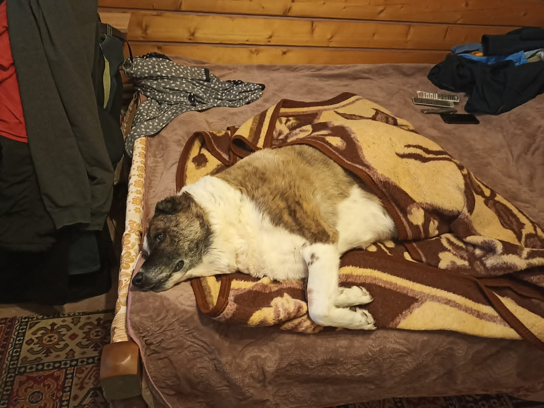 A185A311-6E48-44ED-A0FF-604B42B9292A