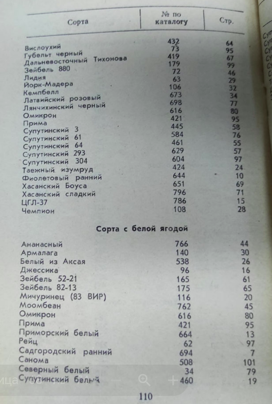 Снимок экрана от 2024-09-15 12-41-25