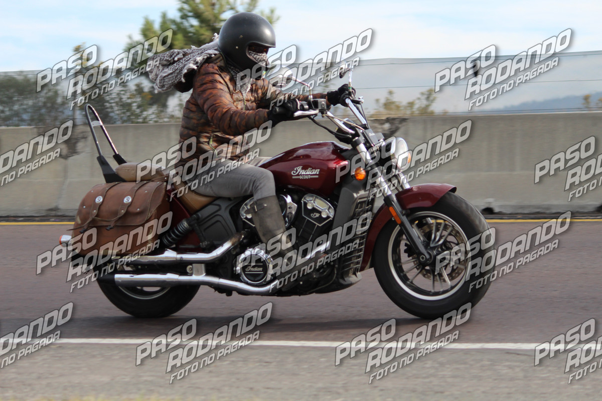 IMG 1101 wm 7733914 7 watermarked — Postimages
