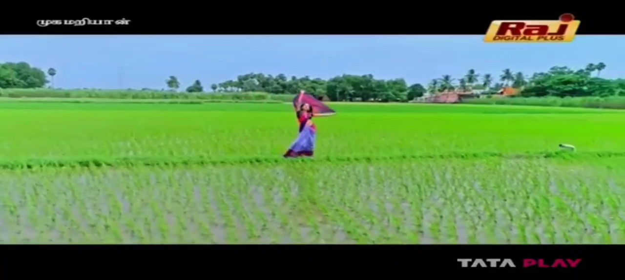 VideoCapture_20240610-215211