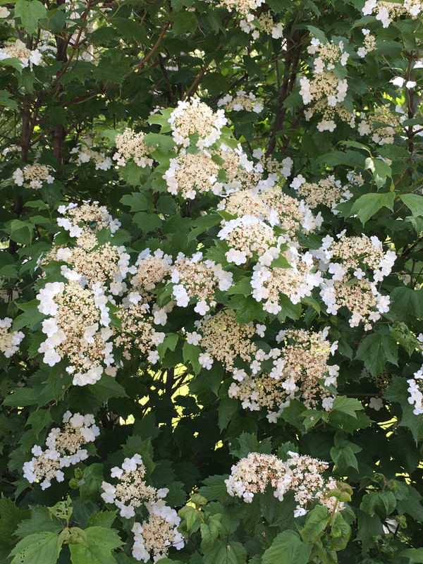 EB4BB9C6-D6C6-4D03-948D-4ADE75A4AB2B