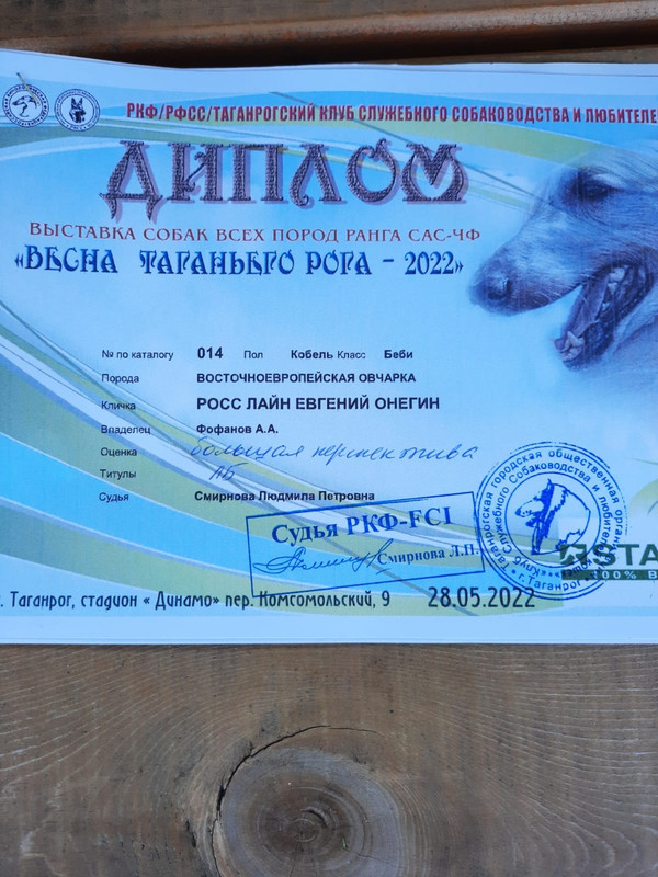 281417981_7532475390157095_306811048504373219_n (1)