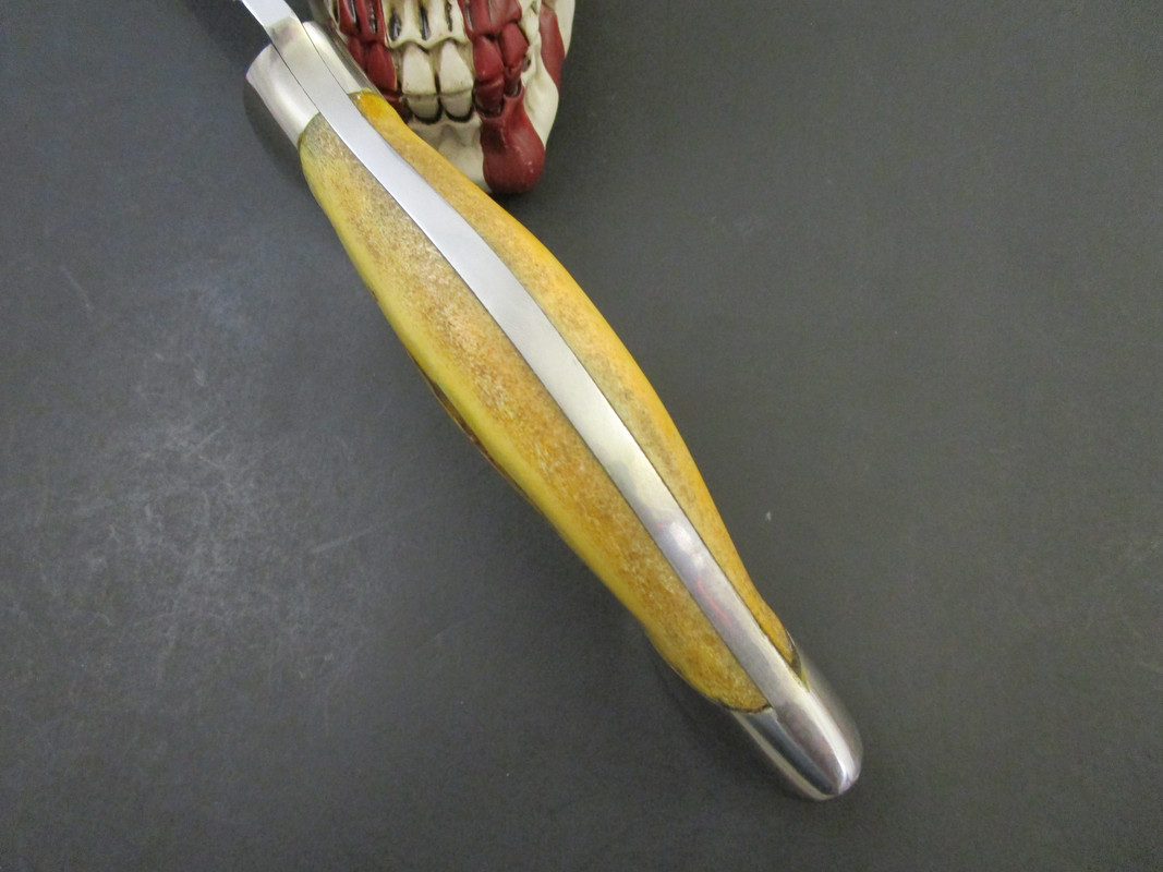 Steve Tedford Stag (10)