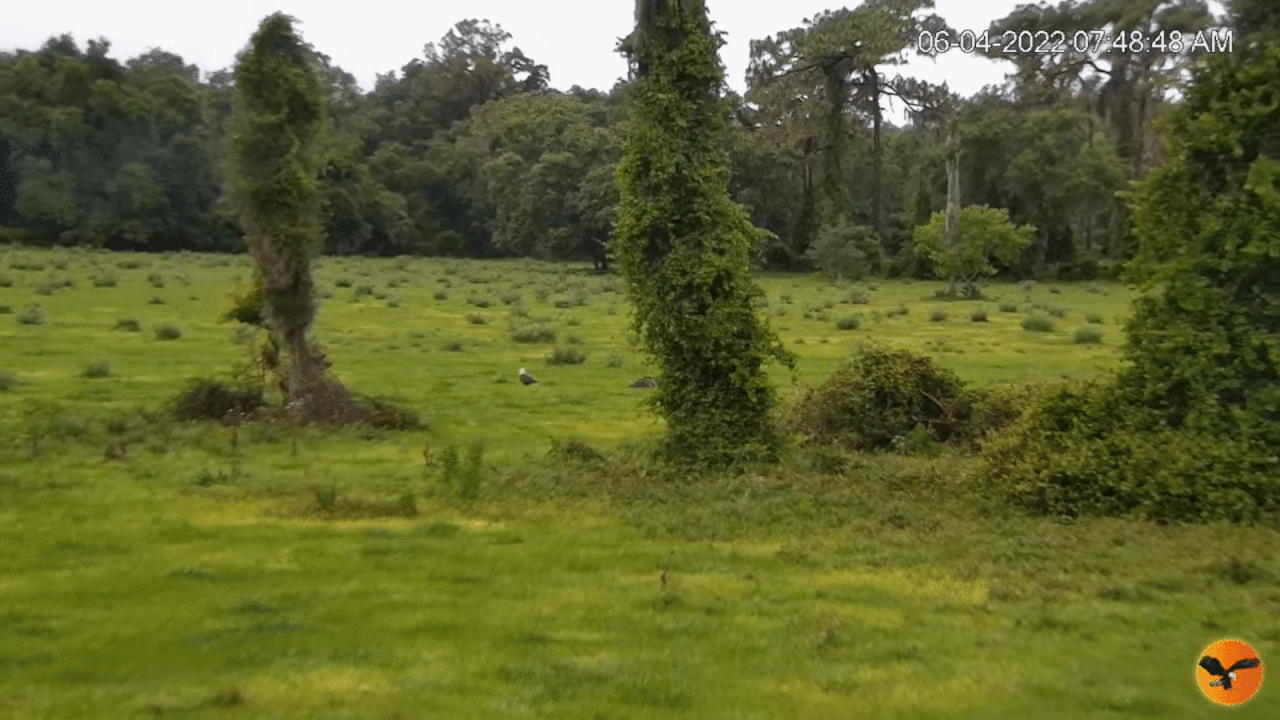 Webp.net-gifmaker (2)