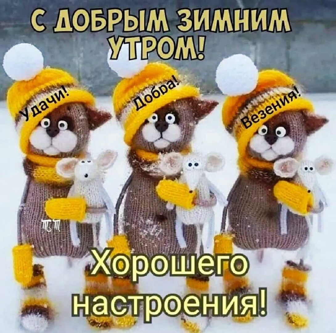 https://i.postimg.cc/1XbC0f4H/IMG-20221228-WA0012.jpg