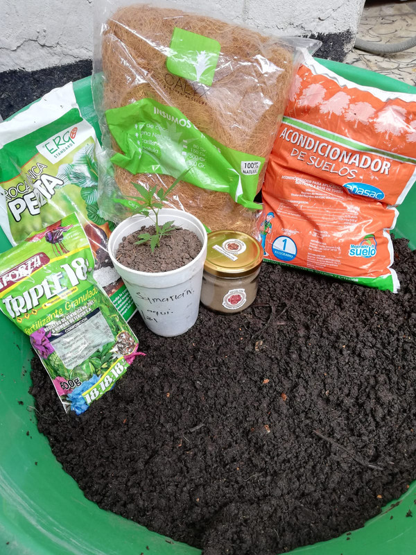 Acondicionamiento de suelo 1