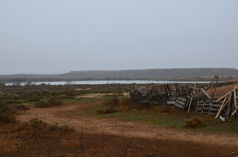 Navarra y sus pueblos-2015 - Blogs de España - Las Bárdenas Reales-15-11-2015 (33)