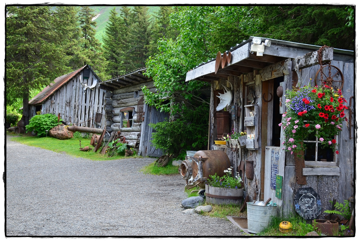 Alaska por tierra, mar y aire - Blogs de America Norte - 20 de junio. Turnagain Arm, Crow Creek Mine, y… zarpamos! (8)