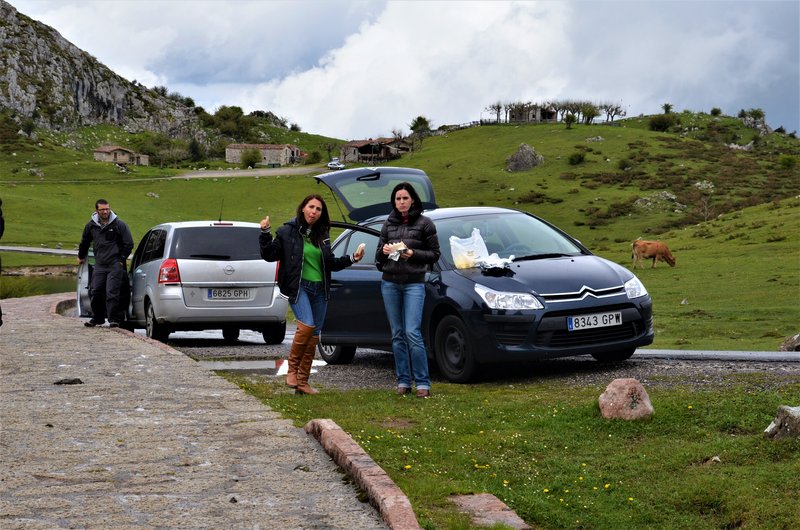 PICOS DE EUROPA-16-5-2013-LEON/ASTURIAS/CANTABRIA - Paseando por España-1991/2016 (27)