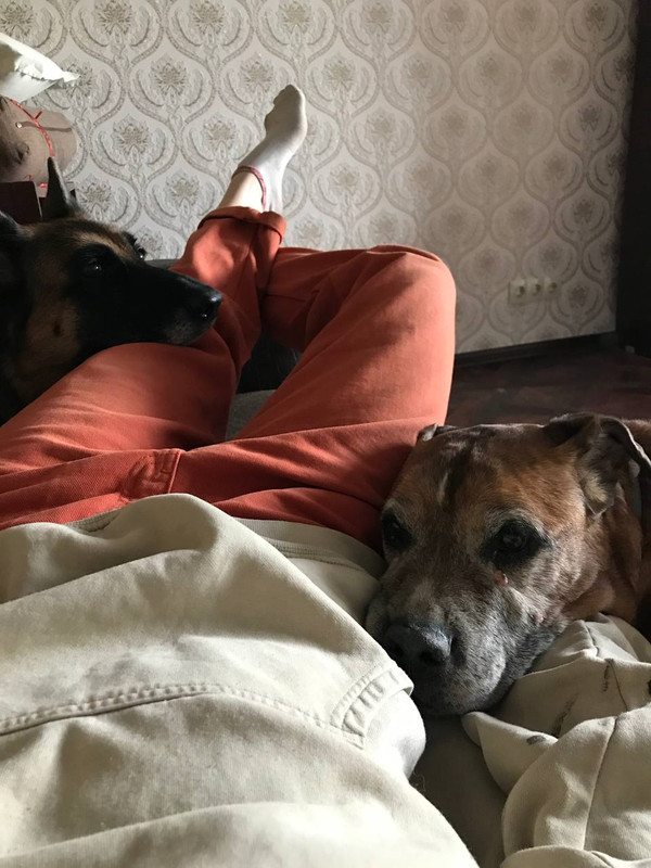 3BF28659-0667-4AE6-9B17-879A097EE13A