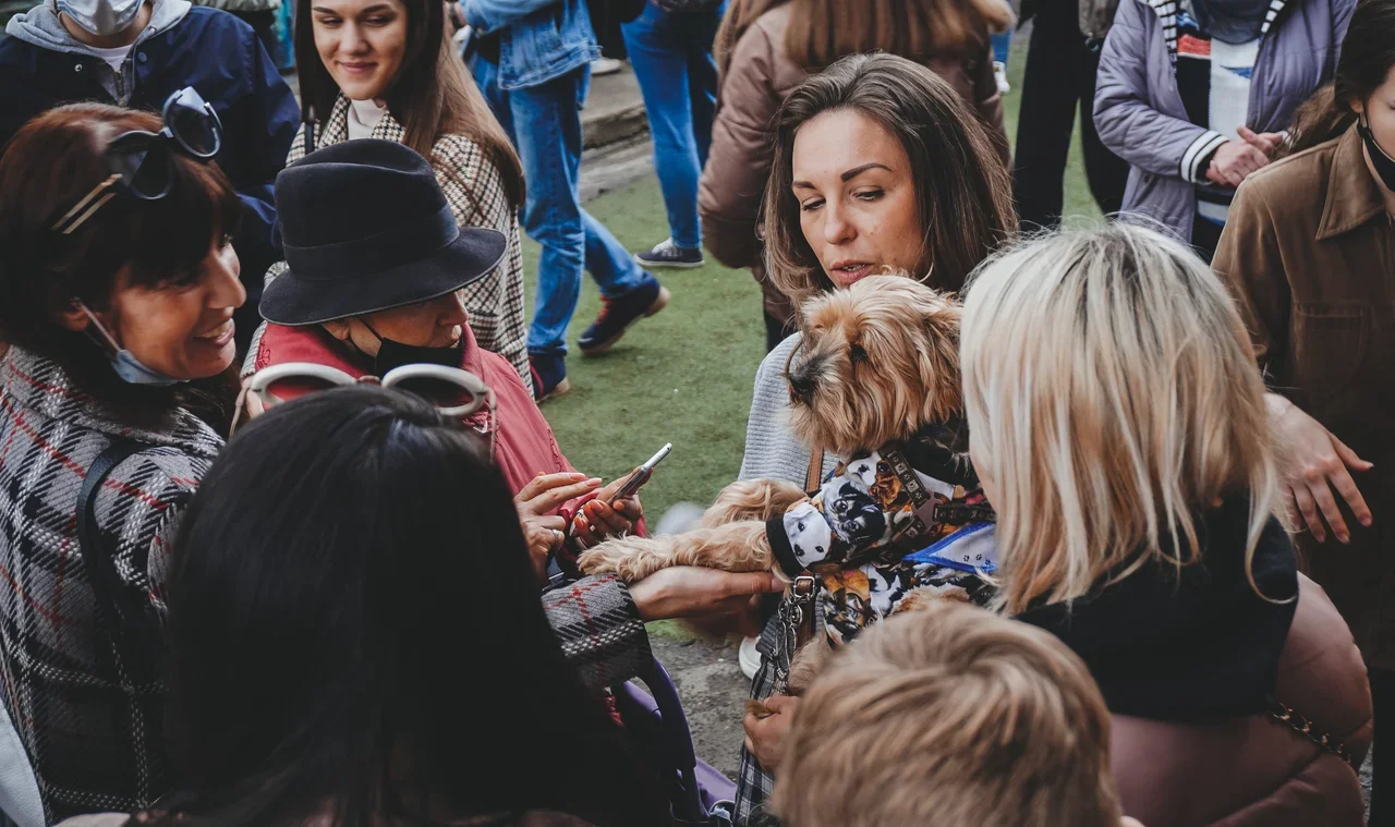 E29E7AC3-67A5-402B-8212-F1ED99D77EE2